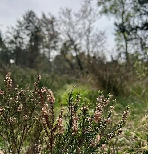 Шале Heppie People