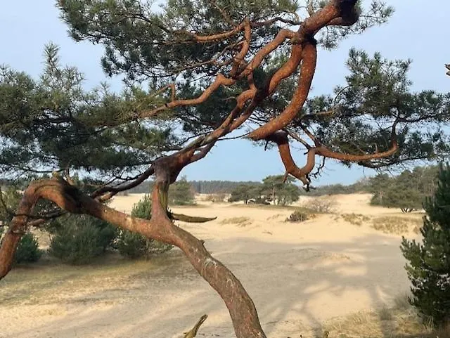 Chalet Heppie People Doornspijk